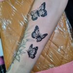 Butterflies by Bethan 